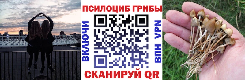 Галлюциногенные грибы мухоморы Беслан